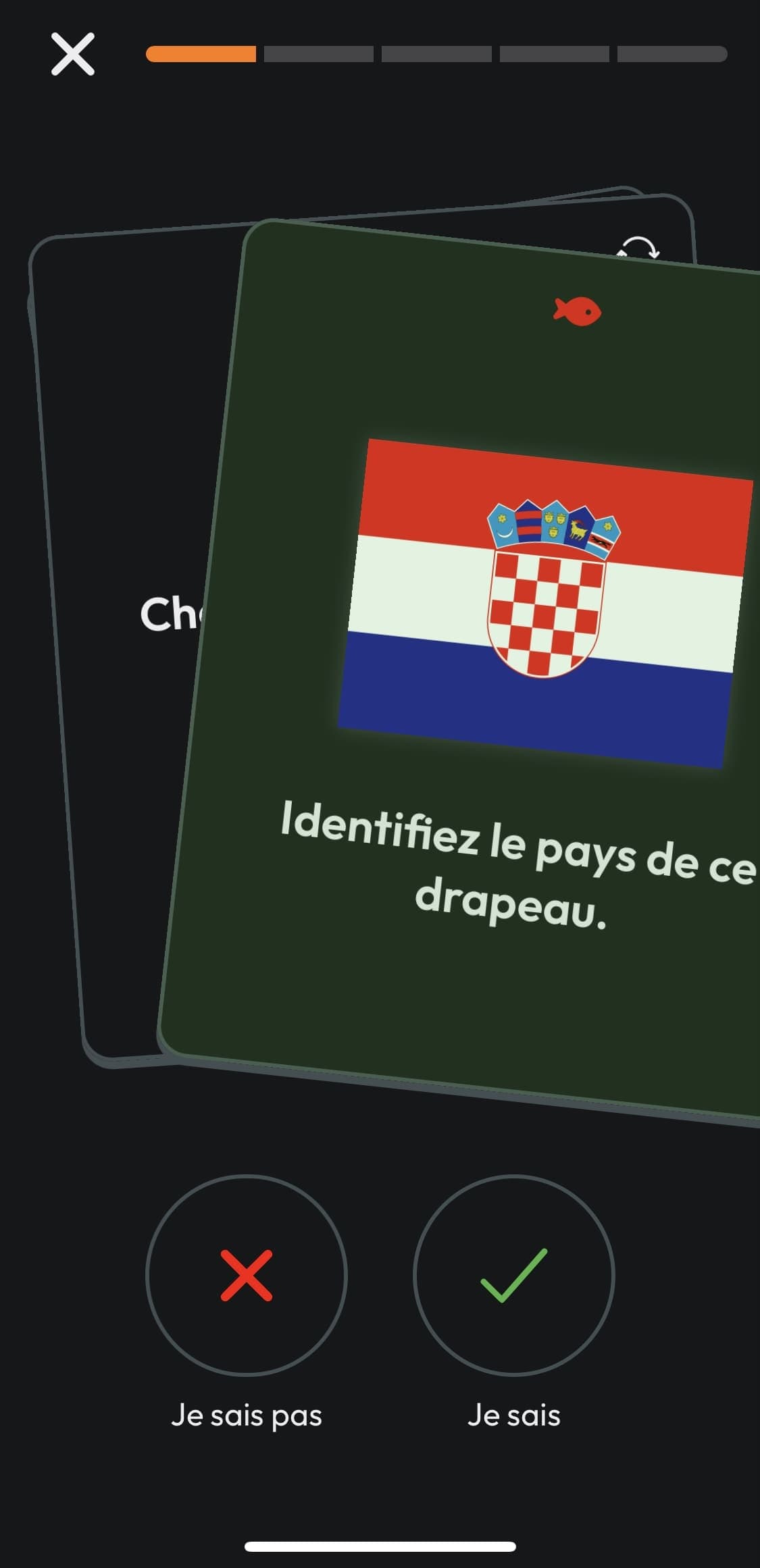 Flashcard review